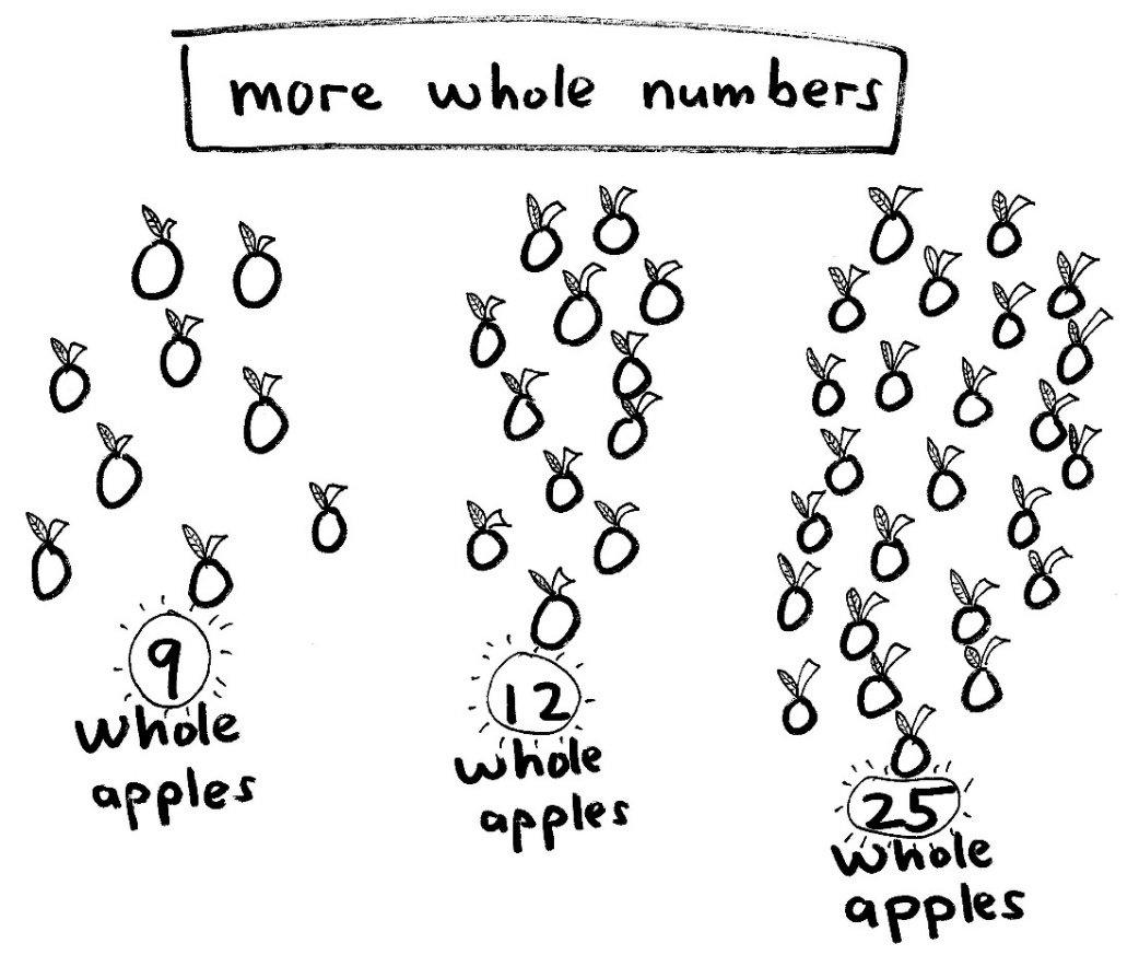 More Whole Numbers More whole numbers shown with apples: 9 whole apples, 12 whole apples and 25 whole apples